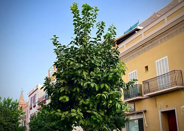 Casa Castilla 31